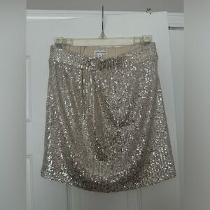 Sequin Skirt